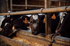 Bungalow With Garden at 5 Minutes From the Beach