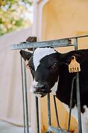 Bungalow With Garden at 5 Minutes From the Beach