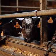 Bungalow With Garden at 5 Minutes From the Beach