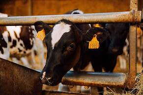 Bungalow With Garden at 5 Minutes From the Beach