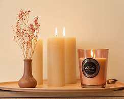 Stunning Apartment on top Location With Parking