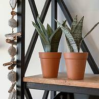 Modern Studio Near the sea and Beach