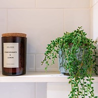 Beautiful and Spacious Studio With Side Seaview