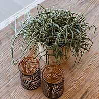 Luxuriuous Family Apartment With Beach View