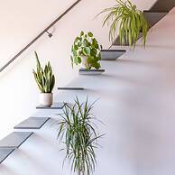 Beautiful High Quality Duplex Apartment