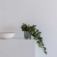 Lovely Apartment With Lateral sea View and Parking