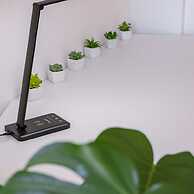 Deluxe Apartment With Lovely Terrace and Parking