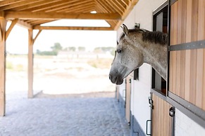 Lady - Lovely Double Room at Ranch De Blauwe Zaal