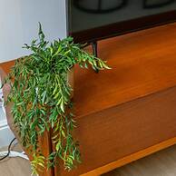 Modern Apartment on top Location in Antwerp