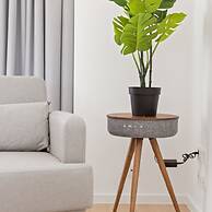 Renovated Apartment in the Heart of Ostend