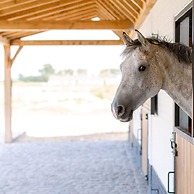 Tosca - Lovely Double Room at Ranch De Blauwe Zaal