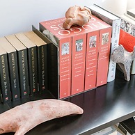 Apartment Katelijne in Centre of Antwerp