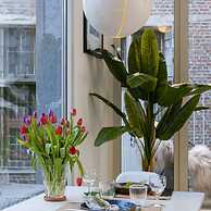 Apartment Katelijne in Centre of Antwerp