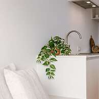 Comfortable Apartment Near the sea