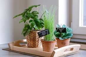 Pleasant Apartment Near the Center of Ghent