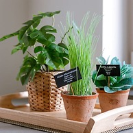 Pleasant Apartment Near the Center of Ghent