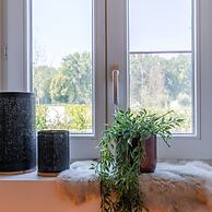 House at Ranch Between Bruges and Damme