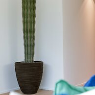 BE KOK Koni 280-0102