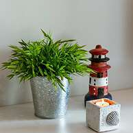 Apartment Near the Beach With Terace