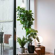 BE ANT Zons 35 in Antwerpen