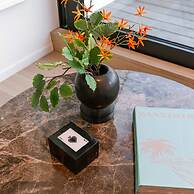 Beautiful Apartment on a Great Location in Knokke