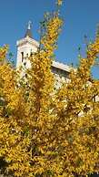Locanda San Rocco