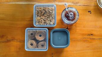 Pousada Brisas de Sagi