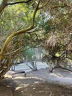 Parque Laguna de Zapallar