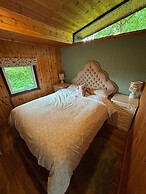 11 Tan-y-coed Woodland Lodge