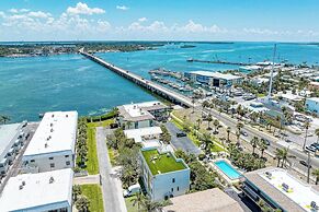 Runaway Tropical Waves-pet Friendly