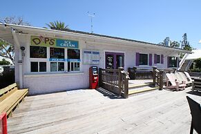 Runaway Tropical Waves-pet Friendly