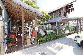 Runaway Tropical Waves-pet Friendly