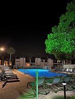 Runaway Tropical Waves-pet Friendly