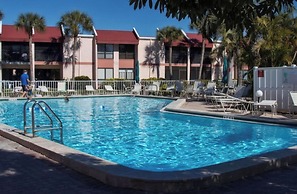 Runaway Tropical Waves-pet Friendly