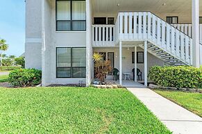 Runaway Tropical Waves-pet Friendly