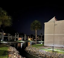 Runaway Tropical Waves-pet Friendly