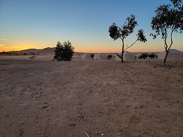 Merzouga Luxury Camp & Camel Trek