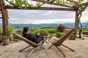Vineyard cottage Kump