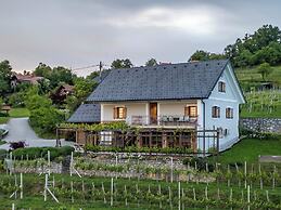 Vineyard cottage Kump