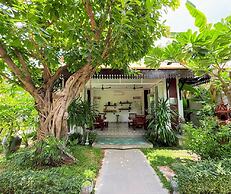 Moringa Tree Maison