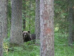 Bear Watching and Photography Hide