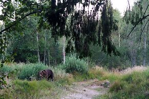 Bear Watching and Photography Hide