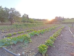 agriturismo le campanelle