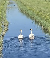Remarkable 2-bed Holiday Home in Whitstable