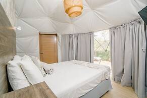 Tortuga Verde Glamping