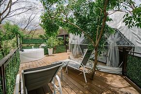 Tortuga Verde Glamping
