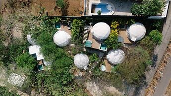 Tortuga Verde Glamping