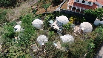 Tortuga Verde Glamping