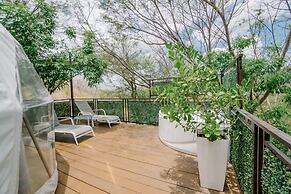 Tortuga Verde Glamping