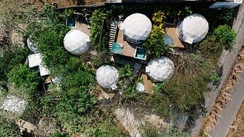 Tortuga Verde Glamping